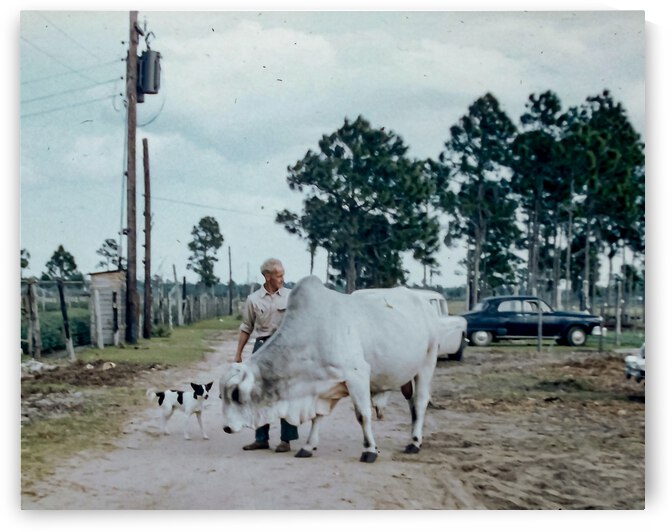 Found and Restored - Farm Family on the Road - Kodachrome by Steve Alejandro