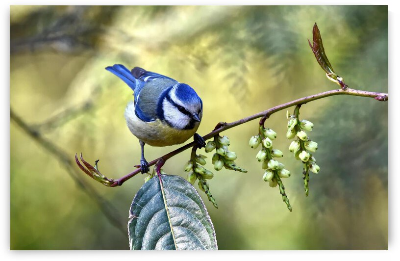 pexels andrew mckie 2400030 by Wrangler Walker