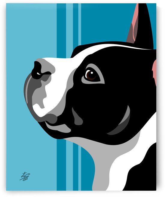 Boston Terrier Face Profile by Liz Cereby
