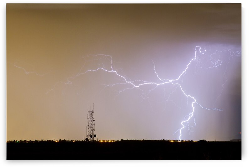 Communication Sensation by Bo Insogna