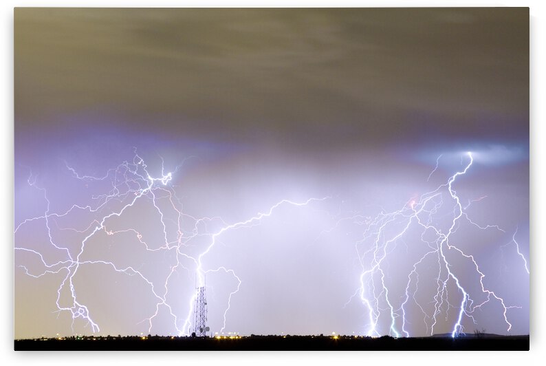 Communication Breakdown by Bo Insogna