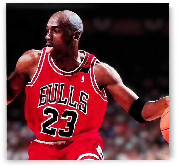 Michael Jordan Up Close Drive by Row One Brand
