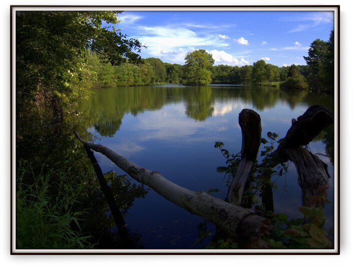Quiet On The Lake by Dave Dabour Photography