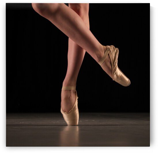 On Pointe by Dave Dabour Photography