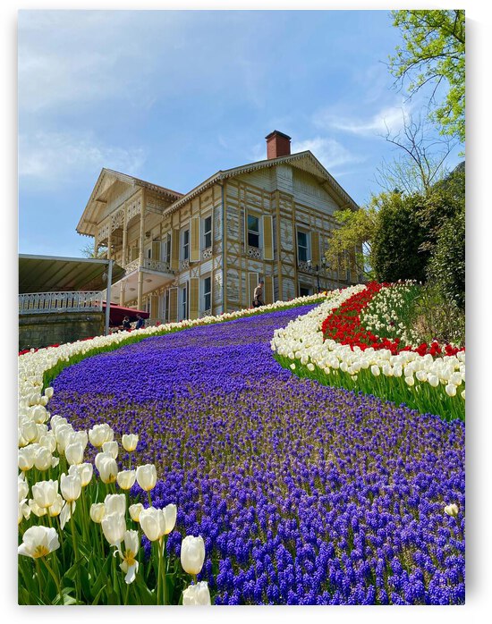 pexels pir sumeyra 11945645 by Wrangler Walker