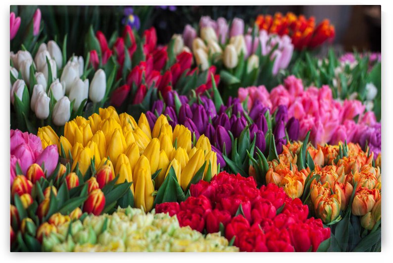 pexels johnmark smith 343957 by Wrangler Walker