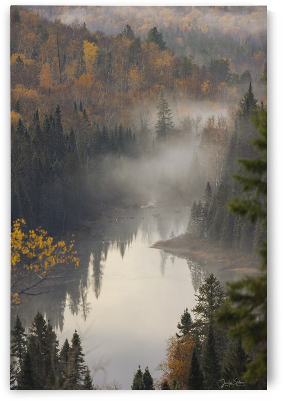 IL YA DE CES MATINS   by Jocelyn Galipeau