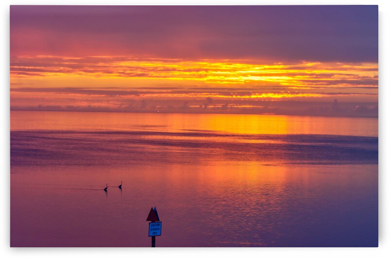 Two Herons Sunset by Hurricane Point Studios
