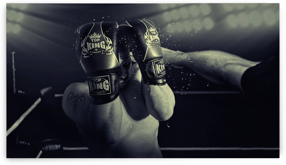 In the Glare of the Lights by 1x