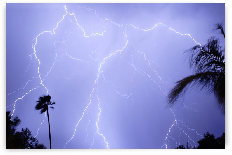 Tropical Storm by Bo Insogna