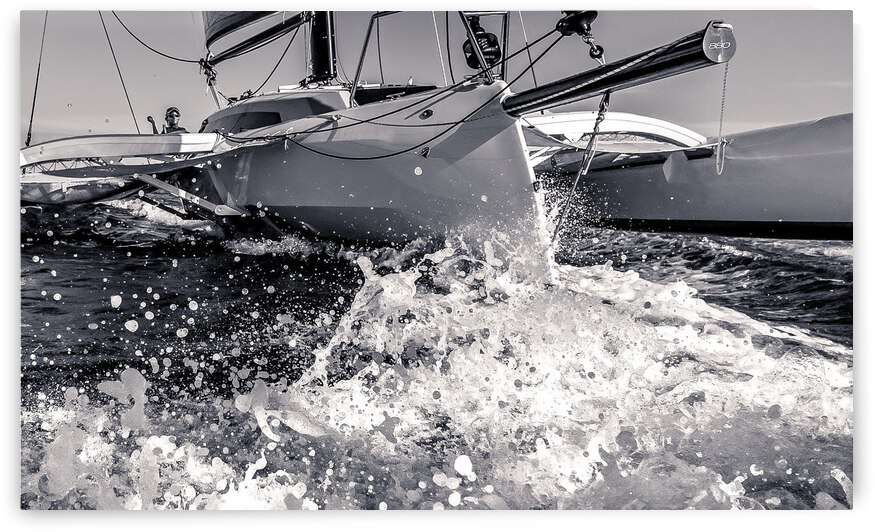 IMG 4397 by Coastal Life Media