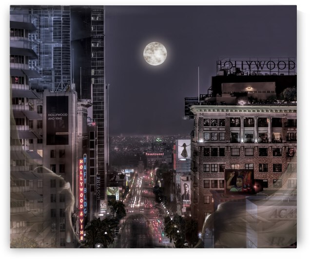 Hollywood and Vine by Barbara Linkevitch