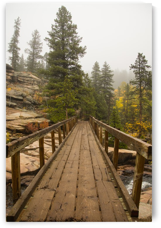 Bridge Into The Clouds by Bo Insogna