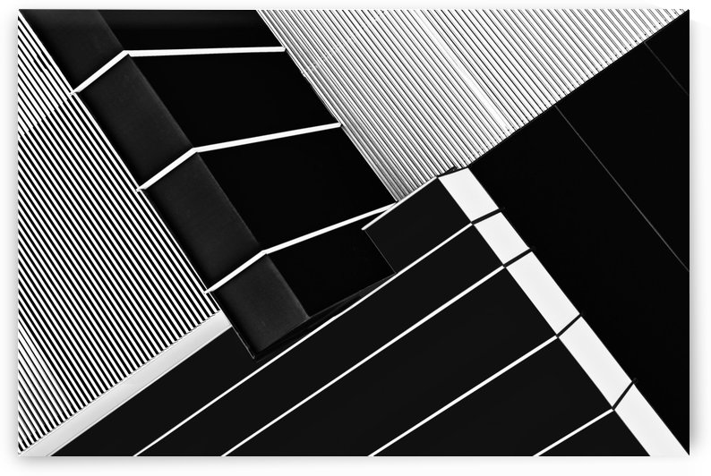 Fragile Symmetry by 1x