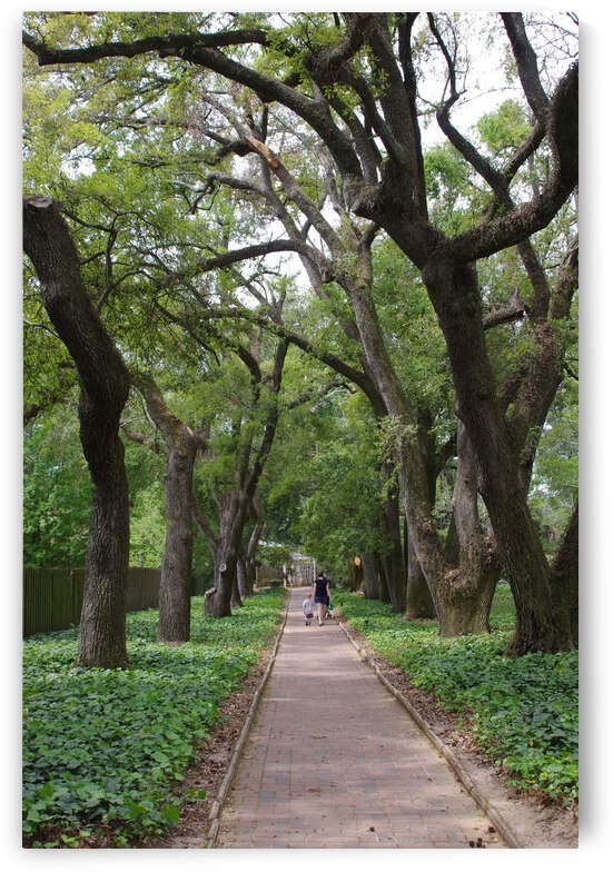 Hopeland Gardens Aiken SC by Dave Rodgers