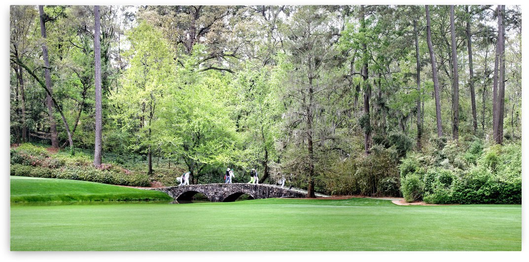 Masters 1 by Dave Rodgers