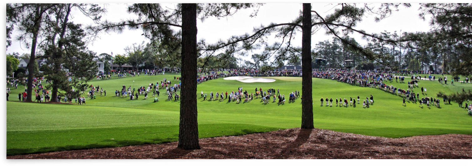 Masters Crowd 2 by Dave Rodgers