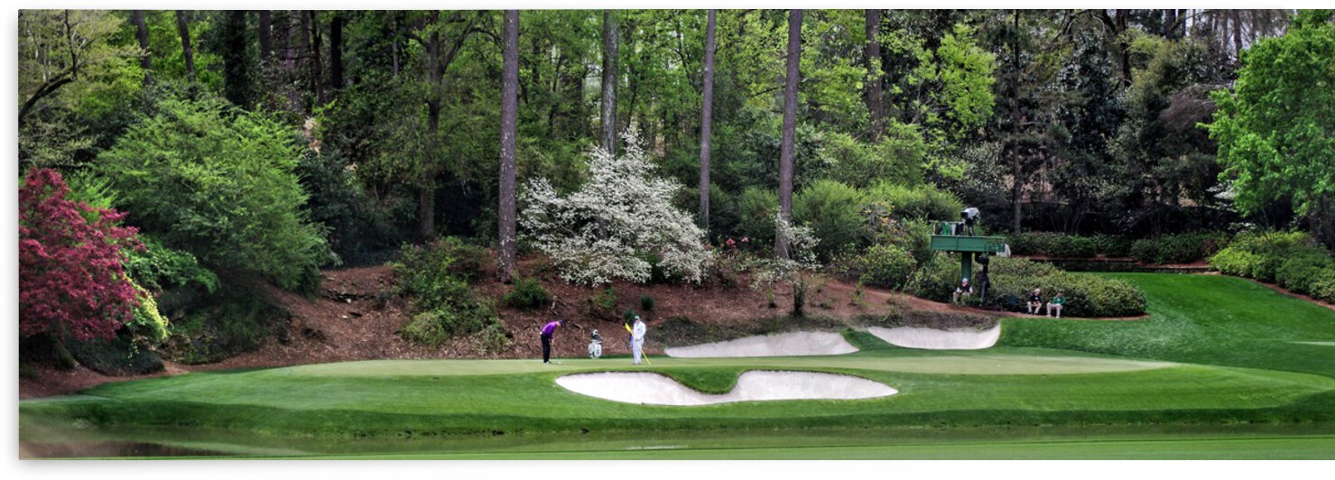 Masters 5 by Dave Rodgers