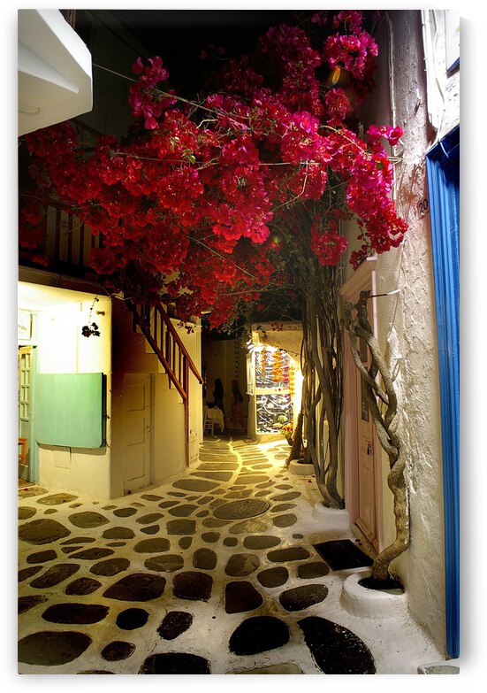 Santorini Street by Dave Rodgers