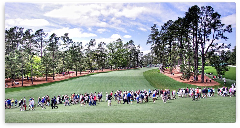 Masters Gallery by Dave Rodgers