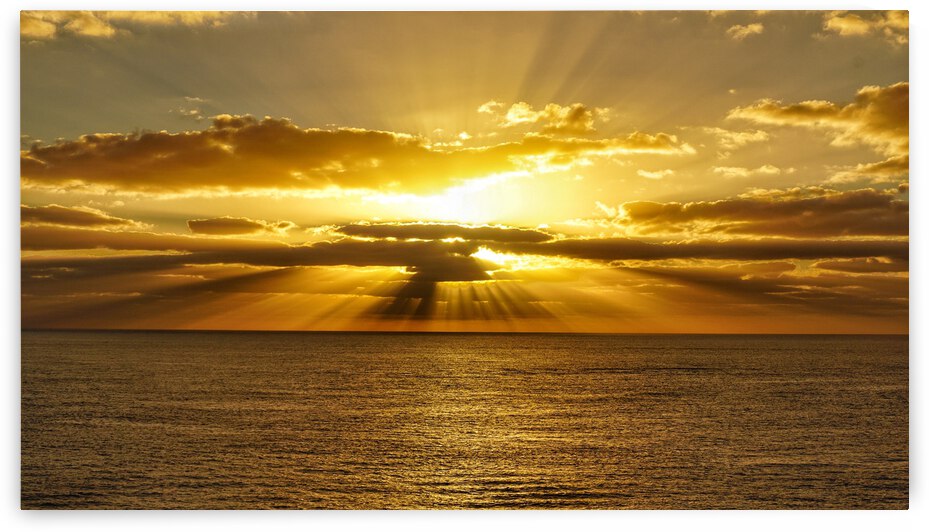 South China Sea by Dave Rodgers