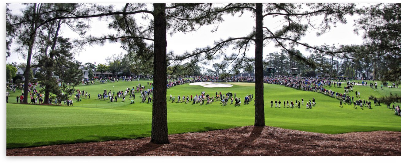 Masters Crowd by Dave Rodgers