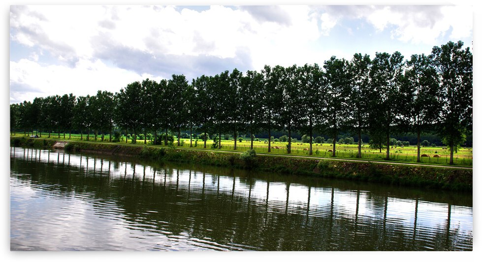 Rhone River France by Dave Rodgers