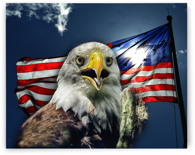 Patriotism with American Flag and Bald Eagle by Bill Swartwout Photography