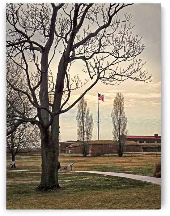 Fort McHenry Flag View through the Trees by Bill Swartwout Photography