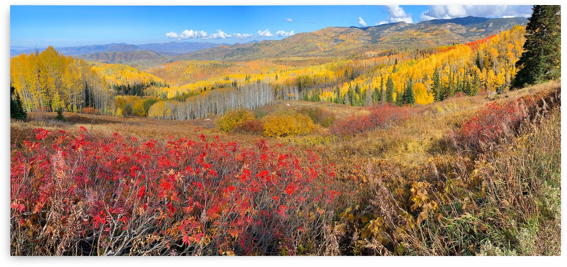 Colorful Colorado by Monte Malenke