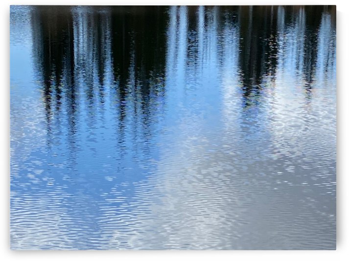 Reflections by Monte Malenke