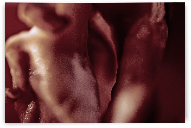 Malick Mushroom by Barbara Linkevitch