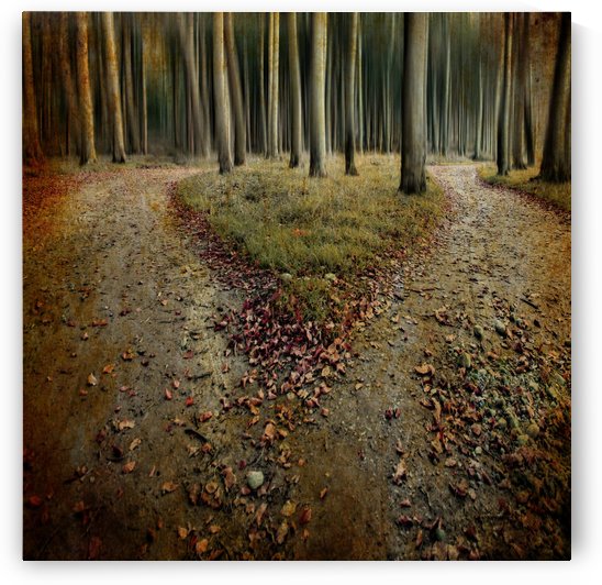 [another lonely heart in haunted woods] by 1x