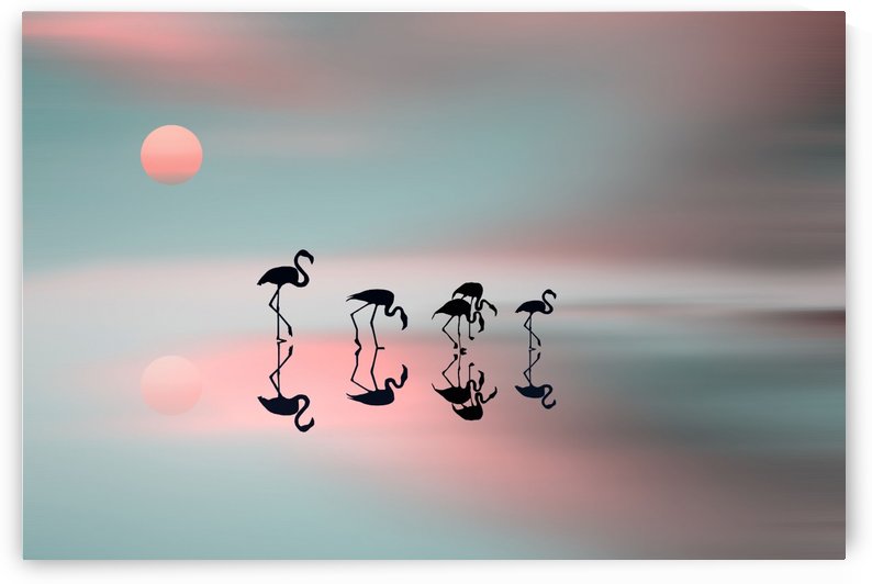 Family flamingos by 1x