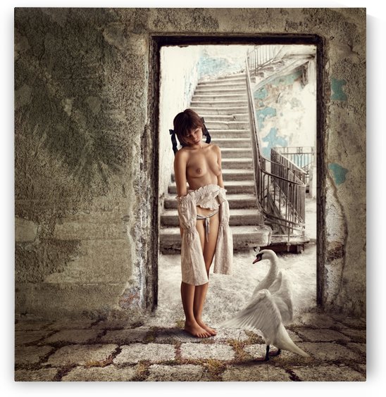 Princess and the Swan by 1x