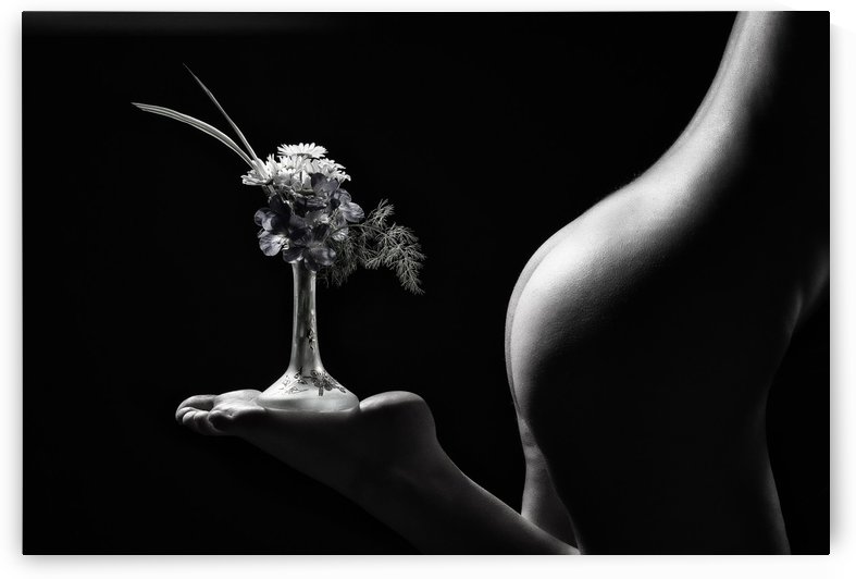 Little Flower Stand by 1x