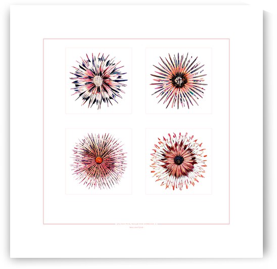 Starburst 2x2   Salmon Rouge and Charcoal 2 by Peter Ballantyne