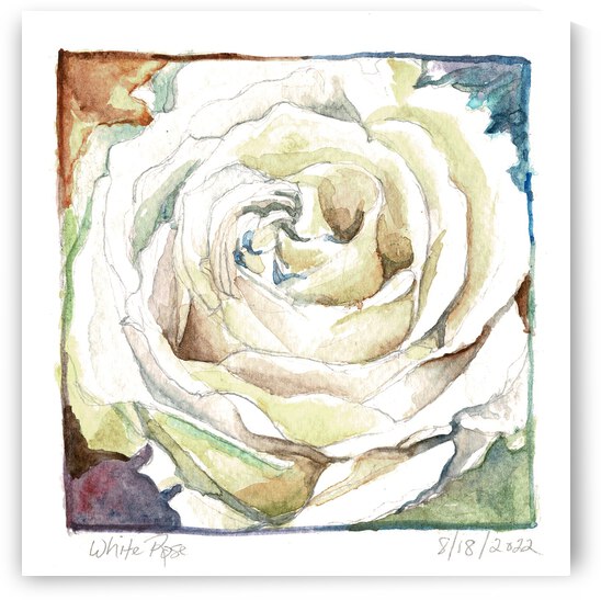 Watercolor Rose by H20colorartist