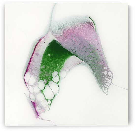 Newness by Carla White