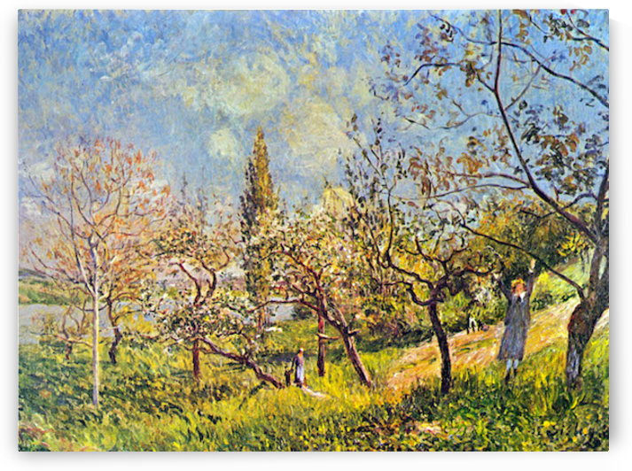 Orchard in spring by Sisley