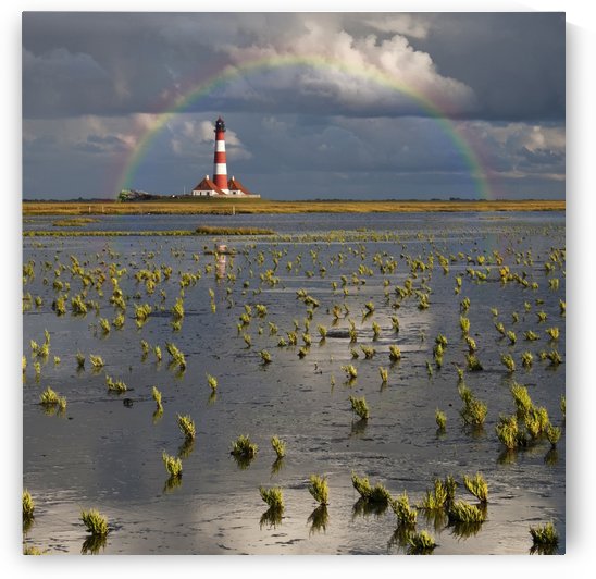 Lighthouse meets Rainbow by 1x