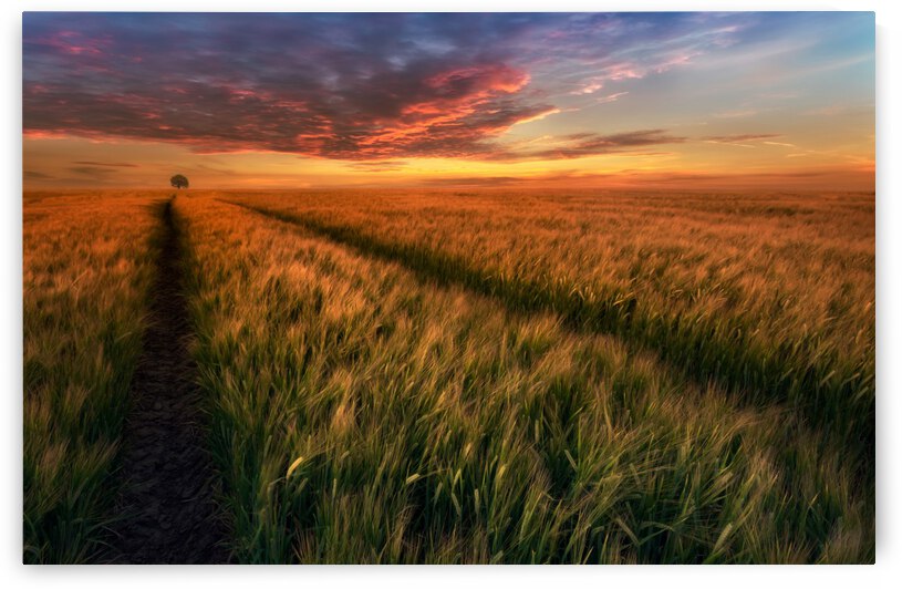 Somewhere at sunset by 1x