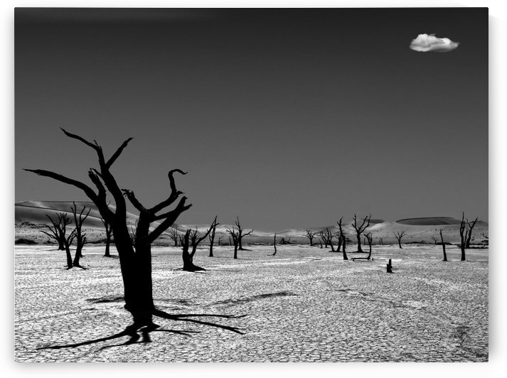 The cloud from the dead by 1x