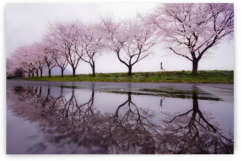 Rain of spring by 1x