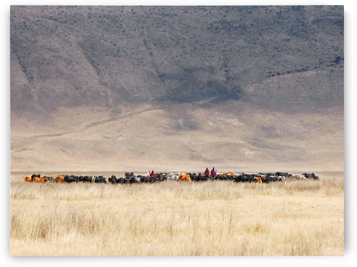 Incredible Maasai by 1x