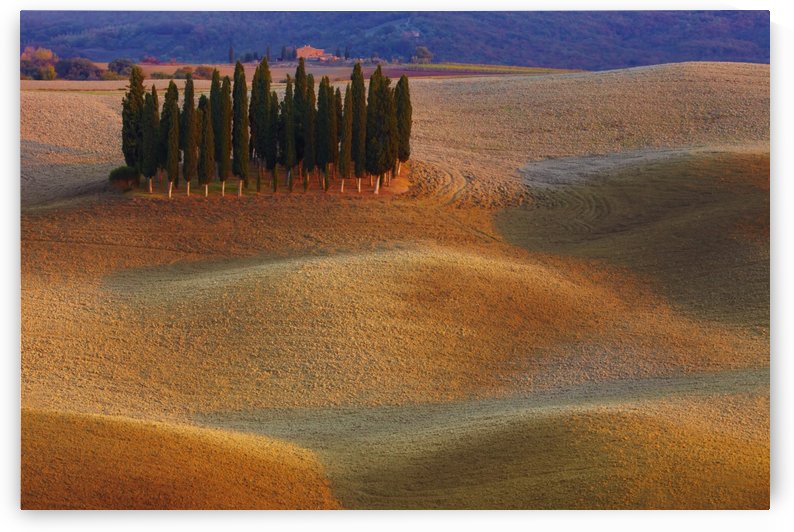 Toscana by 1x