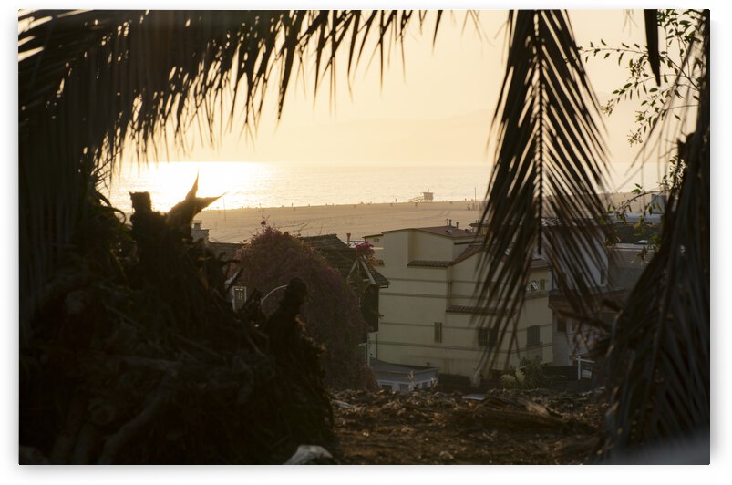 PCH Santa Monica at Sunset Through the Trees by Jean Dzhermakyan