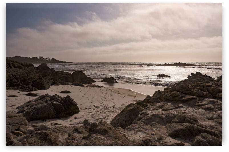 Seal Rock Beach by Jean Dzhermakyan