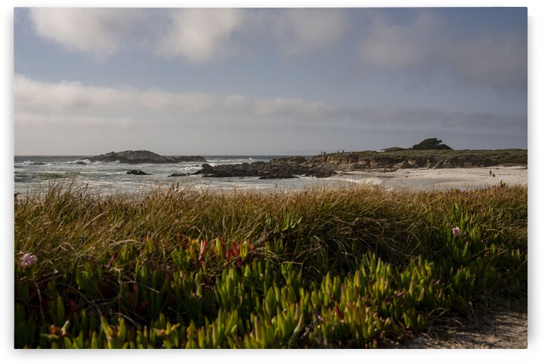 Seal Rock by Jean Dzhermakyan