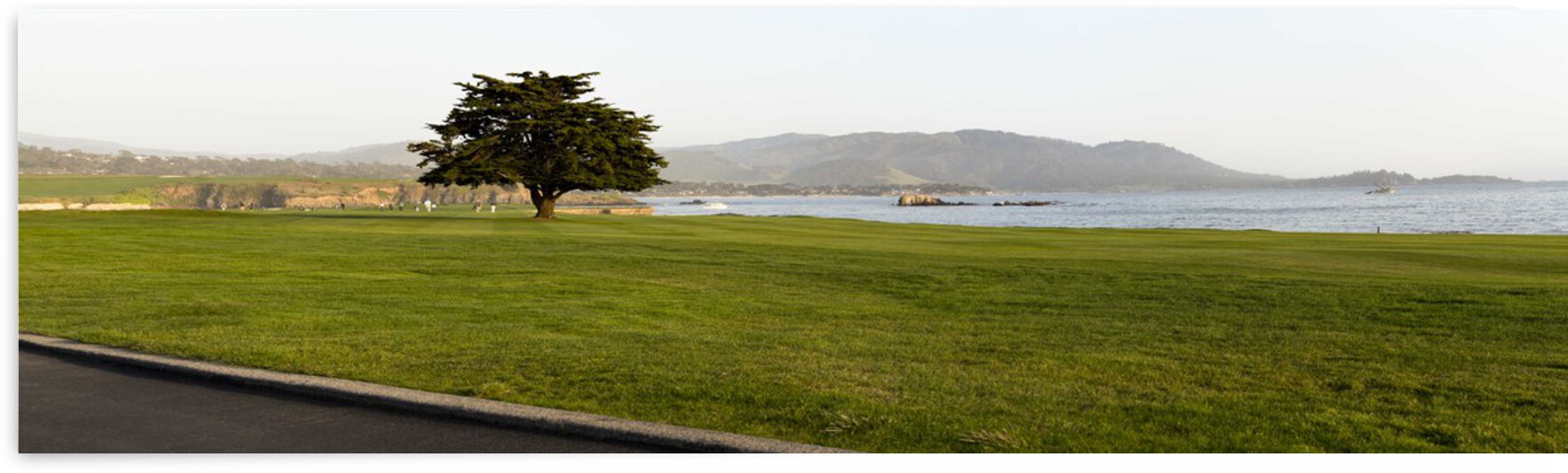 Pebble Beach Golf Course Cypress by Jean Dzhermakyan